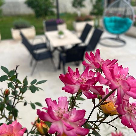 Apartamento Sunny Hill - Parking - Fenced Garden - Luxury Loft Kotor Exterior foto